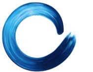 Global Action Plan International logo image